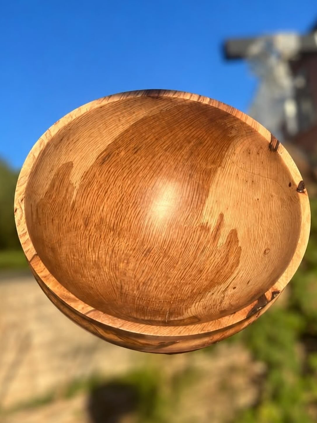 Holm Oak Bowl — Holm Oak / Hand-turned